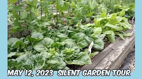 Silent Garden Tour (May 12, 2023)