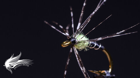 Tying a Hot Spot Spider - Dressed Irons