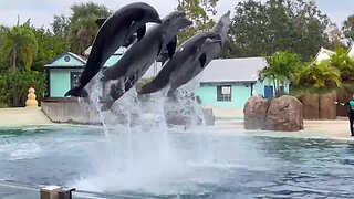 SeaWorld 2022 December 14th