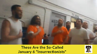 These Are the So-Called January 6 "Insurrectionists"