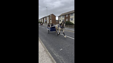 Horse Ride in Blackpool