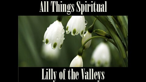 All Things Spiritual-Lily of the Valleys