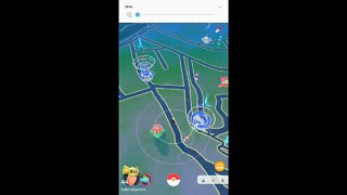 Live de Pokémon GO