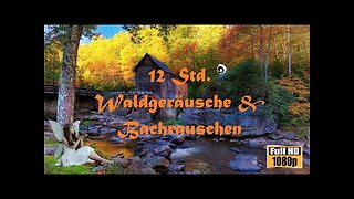 ASMR #3 - 4 Hours Creeks & Animals / 4 Std. Bach & Tiere (Relax, Meditation, Schlafen, Sleep)