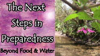 The Next Steps in Preparedness (Beyond Food and Water)