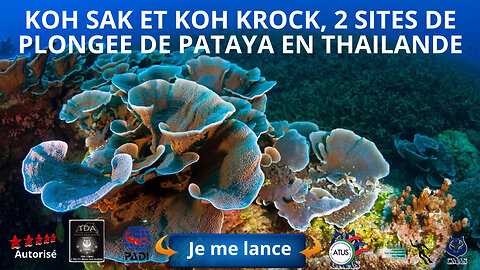 🤿 koh sak et koh krock, 2 sites de plongée de pataya en Thaïlande