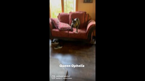 Queen Ophelia