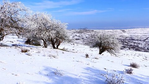 Caucasus Mountains Chechnya Winter mountain views 2022