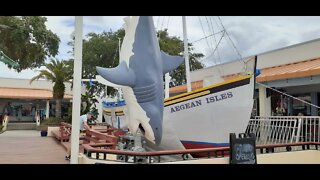 Tarpon Springs FL and John's Pass Sightseeing Day Trip