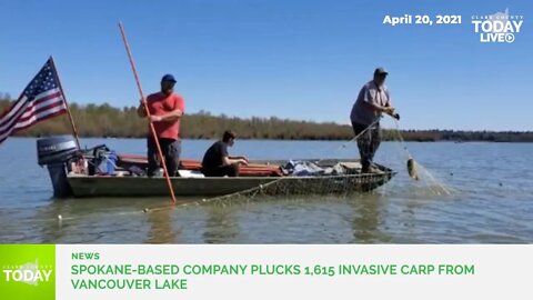 Spokane-based company plucks 1,615 invasive carp from Vancouver Lake