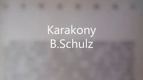Karakony - B.Schulz audiobook