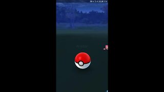 Live Pokémon GO