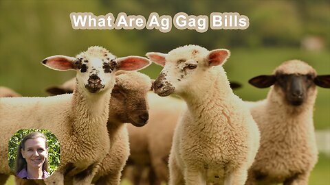 What Are Ag Gag Bills And Why Should I Care?