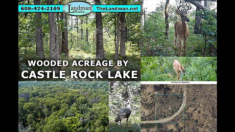 Video Tour - 10 Wooded Acres on Windy Road for Sale by Castle Rock Lake