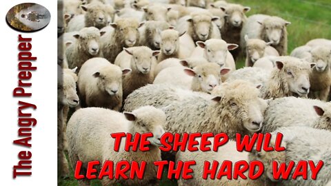The Sheep Will Learn The Hard Way