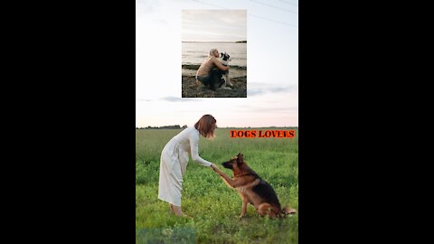 DOGS LOVERS - ANIMALS LOVERS 💖😊 DOG'S PURPOSE FULL MOVIE
