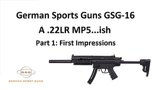 German Sports Guns GSG-16 - A .22 LR MP5...ish - Part 1: First Impressions