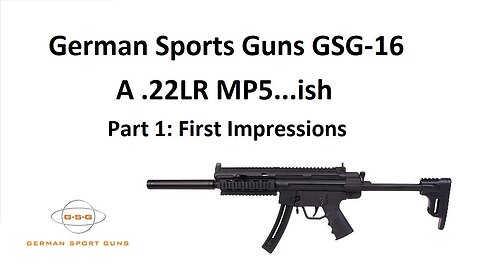 German Sports Guns GSG-16 - A .22 LR MP5...ish - Part 1: First Impressions