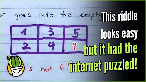 This Riddle Looks Easy But It Had The Internet Puzzled!