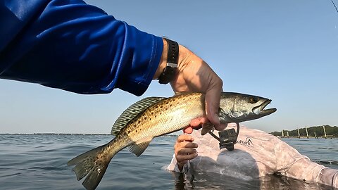 Awesome Back Bay Fishing