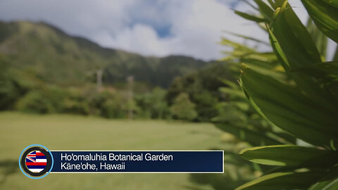 Sights and Sounds - Ho'omaluhia Botanical Garden