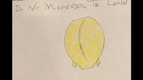 Episode: 1 Do Not MisGender the Lemon Part Deux