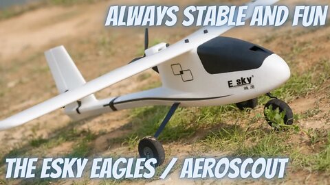 My Esky Eagles/Aeroscout Is Still Kicking!