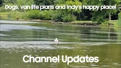 Dogs, vanlife plans, carnivore life and Indy's happy place 😊