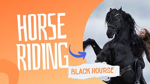 Black hourse riding