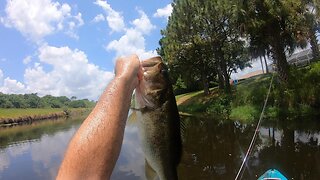 Catching Bass on a Custom Built Fishing Rod