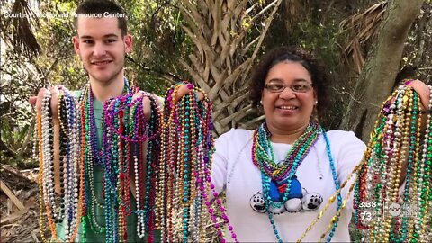 Tampa nonprofits work together to collect and reuse thousands of Gasparilla beads