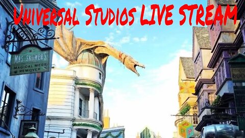 Universal Studios Live Stream