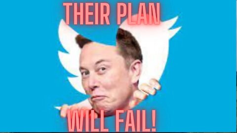 Tesla shares sink, wipe out over $125 billion in value, as Elon Musk scores Twitter deal