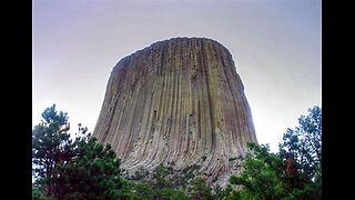 More Petrified Giant Tree Stumps