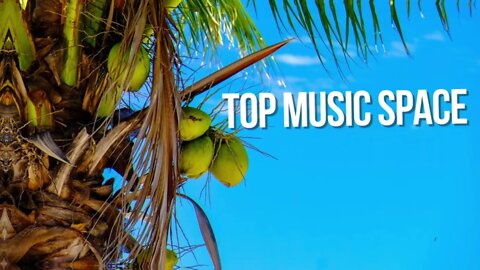 💓🎧 Back To Summer – Tobjan (No Copyright Music) 🎵