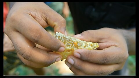 Honeybee how to remove honey