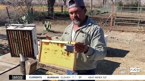 California beekeepers turn to anti-theft technology as hive thefts rise