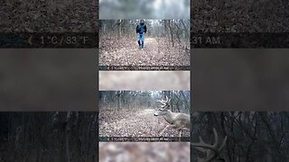 I Was ONLY 5 MINUTES Away From A BUCK!!!