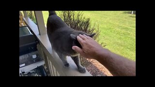 Locking Horse Out Of Stall To Break A Habit - Horse Getting Too Comfortable In Stall