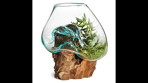 Molten Glass Terrarium With Pond