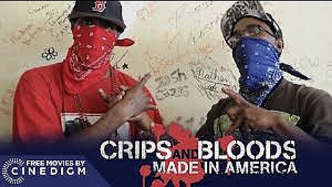 The 'BLOODS' vs. The 'CRIPS' Documentary: A Gang War Made In 'America'
