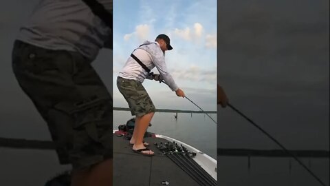 HUGE Fish Caught on Ridge Worm! (Justin Royal and Ronnie Kelley take on Lake Fork)