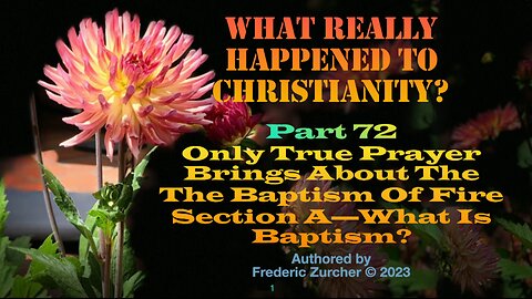 Fred Zurcher on What Really Happened to Christianity pt72