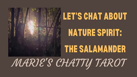 Let's Chat About The Sighting of Nature Spirit: The Salamander