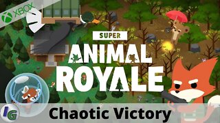 Super Animal Royale (Game Preview) Chaotic Victory Game Clip on Xbox