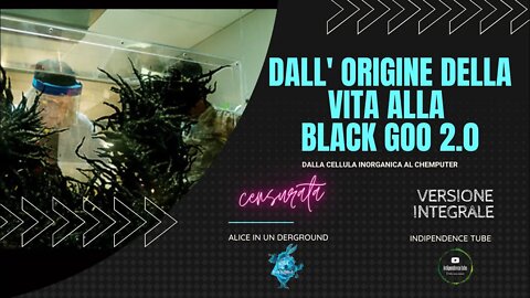 DALL' ORIGINE DELLA VITA ALLA BLACK GOO 2.0 - censurata