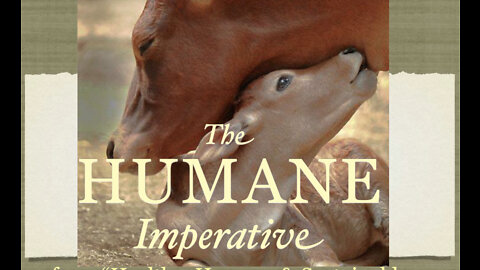 The Humane Imperative: What We Do to Eat Animal Foods