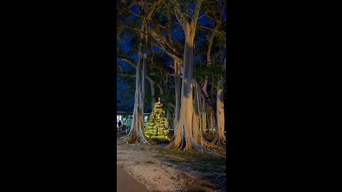 Holiday Nights at the Edison and Ford winter Estates