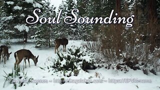 Soul Sounding ~ Infinite Realities, Infinite Possibilities ~ Mount Shasta ~ by Edward Maesen