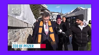 🔥🔥🔥REBEL NEWS CONFRONTS ALBERT BOURLA IN DAVOS OVER THE SAFETY AND EFFICACY OF HIS COVID SHOTS